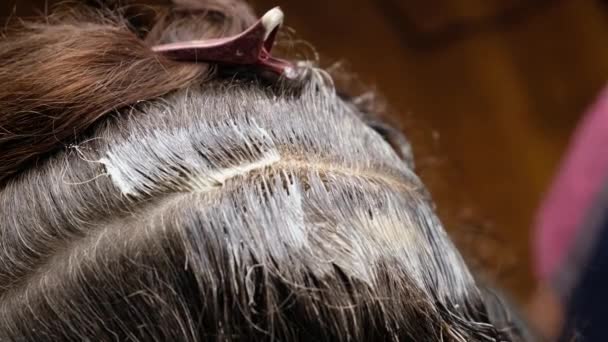 Teñido de cabello con un primer plano de cepillo — Vídeos de Stock