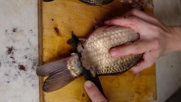 Écailles de nettoyage poissons vivants avec un couteau, boucherie carpe crucienne vidéo verticale — Video