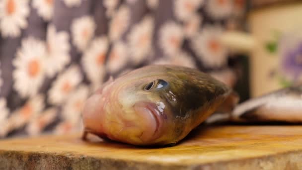 Приготування свіжої риби, курчати короп на дошці кухні — стокове відео