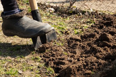 garden processing, leg man digging the ground spring planting