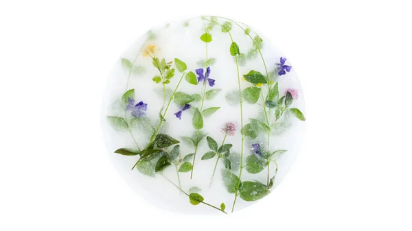 Circle Flowers Frozen Ice Herbs — Foto de Stock