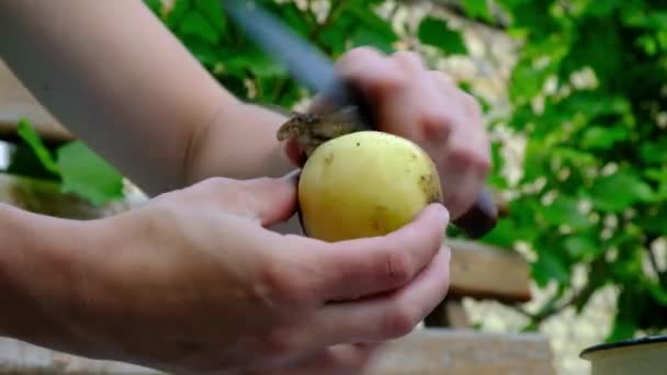 Decojirea cartofilor tineri cu un cuțit în natură — Videoclip de stoc