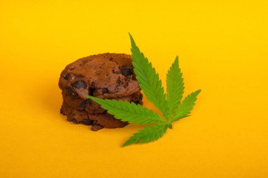 Sarı arka planda esrar kurabiyeleri ve yeşil yapraklı marihuana.