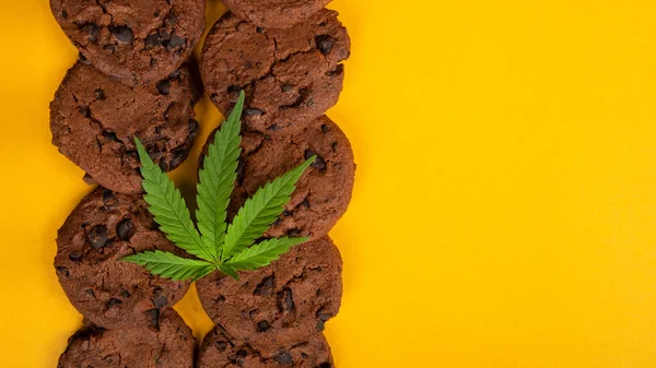 Cannabis Vaj Csokoládé Chip Cookie Cbd Vaj Édes Sütemények Sárga — Stock Fotó