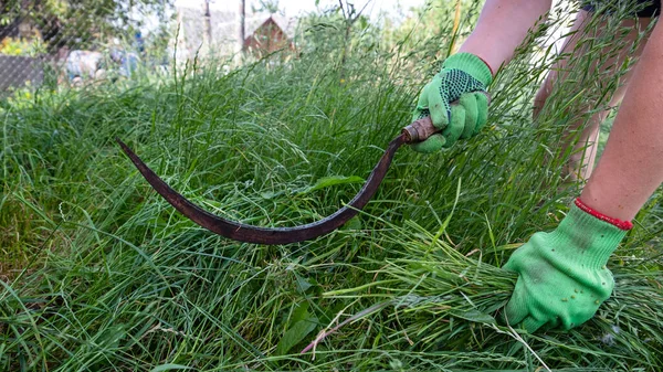 Prozess Mäht Das Gras Mit Der Sichel — Stockfoto