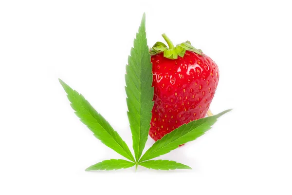 Red Strawberry Cannabis Leaf Isolated White Background — Stock fotografie