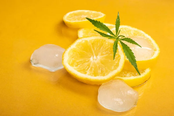 Zitronenkeile Mit Eiswürfeln Und Marihuanaknospe Auf Gelbem Hintergrund Zitronenhanf Nach — Stockfoto