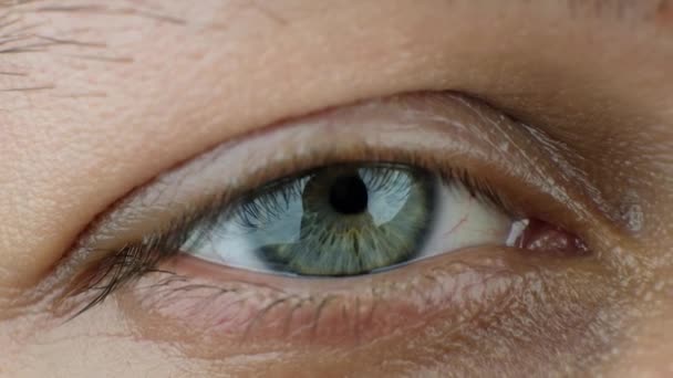 Kadın göz kırpması, yakın plan, mavi-gri göz makrosu — Stok video