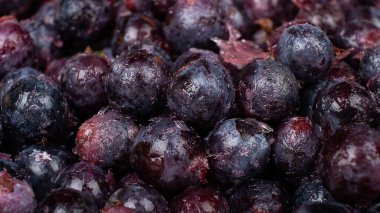 Donmuş üzümler, yakın plan, buzdolabından koyu mavi üzümler. 