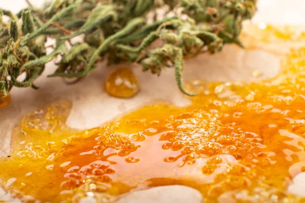 Concentreren gouden hars was en droge groene cannabis knop met hoge thc close-up — Stockfoto