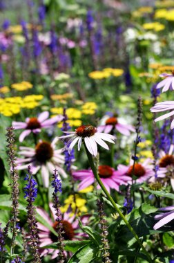 Beefriendly Bahçe