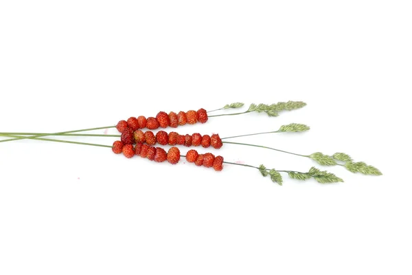 Wild strawberries on straw — Stock Photo, Image