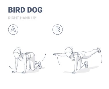 Kuş Köpek Kadın Antrenman Kılavuzu Çizimi.