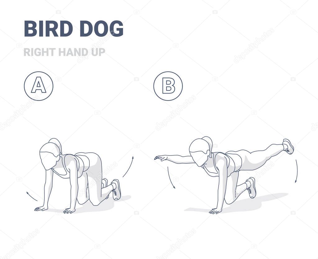 Bird Dog Woman Home Workout Exercise Guide Illustration.