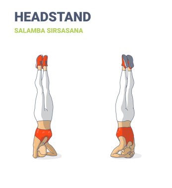 Baş kadın antreman rehberliği, salamba sirsasana yoga pozu renkli vektör çizimi.