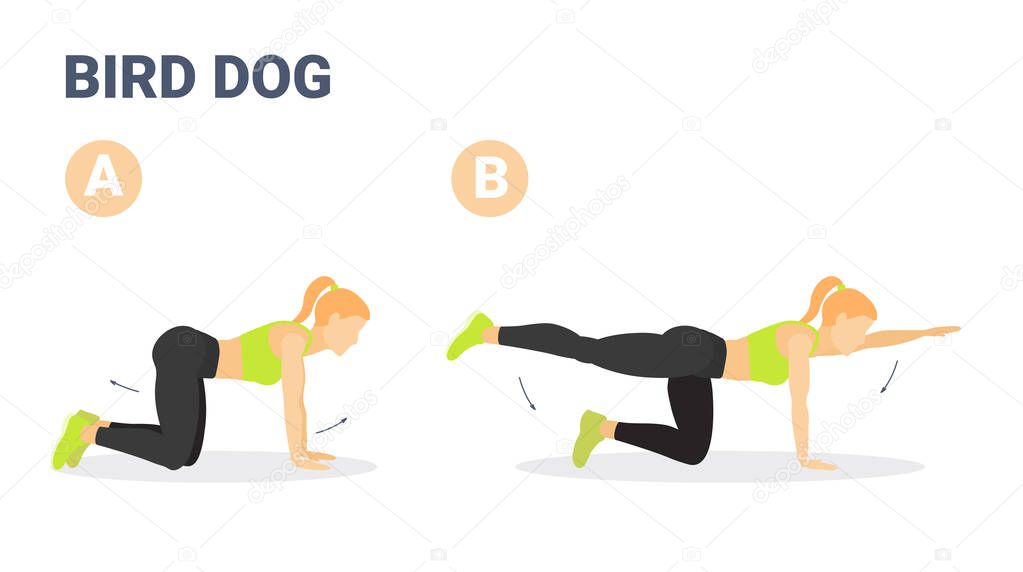 Female Doing Bird Dog Workout Exercise Guide Colorful Concept Illustration.