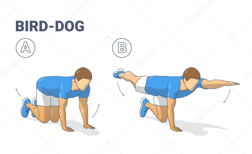 Man doing bird dog exercise to train his core guidance. Male workout position for abs illustration.