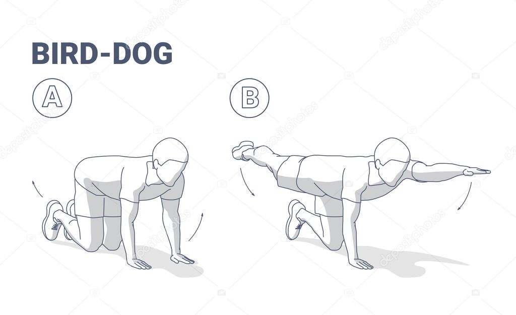 Man doing bird dog exercise home workout guidance vector illustration.