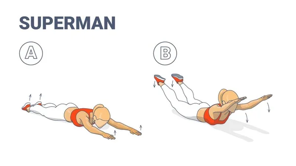 Meisje doet Superman Exercise Fitness Home Workout Guidance Illustration. Lying back vrouw oefening. — Stockvector