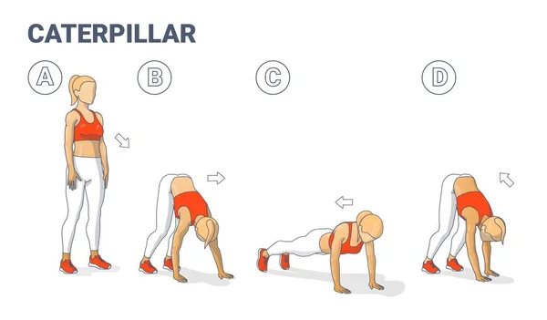 Девушка делает гусеницу прогулки упражнения фитнес дома Тренировки руководство иллюстрации. Прогулки с червями. — стоковый вектор