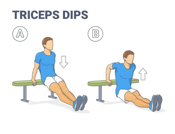Hombre haciendo Bancos Triceps Dips. Guía de ejercicios de entrenamiento. colorido concepto chico trabajando en su tríceps. — Archivo Imágenes Vectoriales