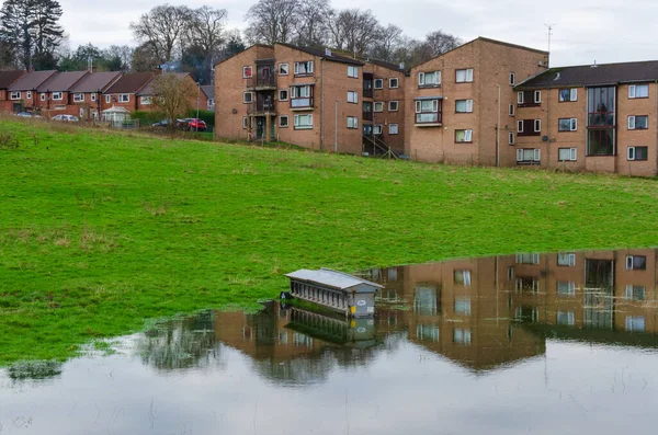 Mold Flintshire Jan 2021 Schapenvoeders Zijn Gedeeltelijk Ondergedompeld Een Veld — Stockfoto