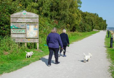 Flint, Flintshire; İngiltere: 17 Eylül 2020: Köpek gezginleri, Flint Rıhtımı 'nın yanındaki Kuzey Galler Sahil Yolu' nda sonbahar yürüyüşünün keyfini çıkarıyorlar..