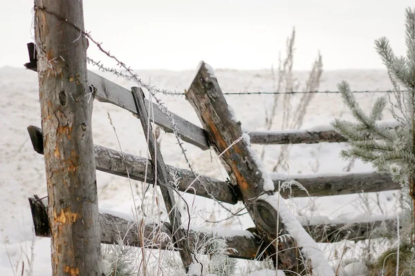 The old rickety fence in the winter. Stock Picture