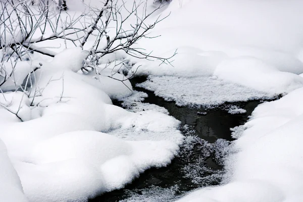 Kış orman stream.