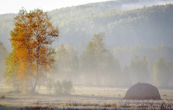 The haystack in the autumn forest. — Stock Photo, Image