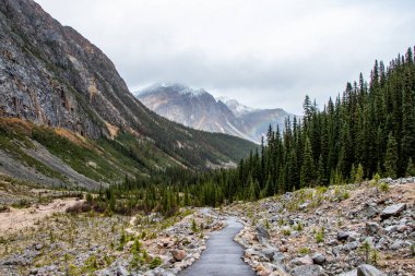 Mount Edith Cavell 'de yürüyüş parkı Jasper Ulusal Parkı, Alberta, Kanada