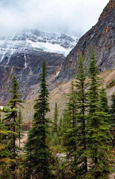 Snötäckta Berg Och Vintergröna Träd Vid Mount Edith Cavell — Stockfoto