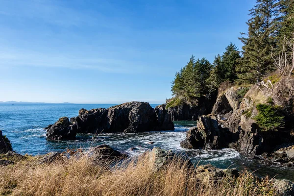 Pohled Členité Pobřeží Oceánu Sheringham Point Ostrově Vancouver Britská Kolumbie — Stock fotografie