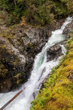 Little Qualicum Falls İl Parkı 'ndaki şelale ve nehir, British Columbia, Kanada