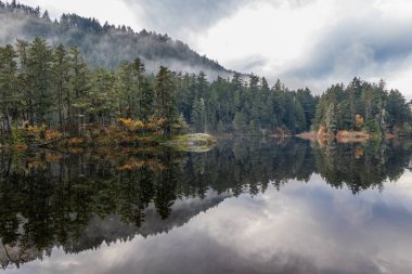 Vancouver Adası, British Columbia, Kanada 'daki Matheson Gölü Bölgesel Parkı' ndaki sabah sisi ve orman, bir sonbahar gününde sakin suları yansıtır.