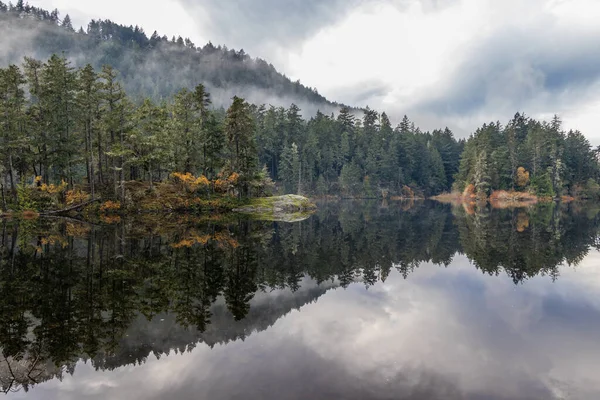 Morgennebel Und Waldreflexionen Auf Ruhigem Wasser Matheson Lake Regional Park — Stockfoto