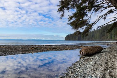 Bulutlar ve gökyüzü, Vancouver Adası, British Columbia 'daki Juan De Fuca İl Parkı' nın kıyısındaki durgun suya yansıyor.
