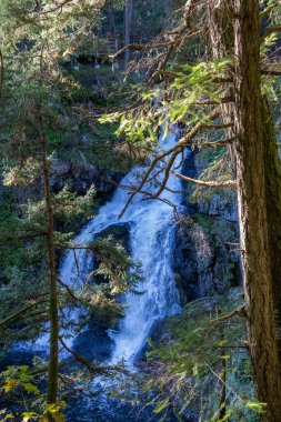 Witty 's Lagoon Bölgesel Parkı' nda oturan Lady Waterfalls, British Columbia, Kanada