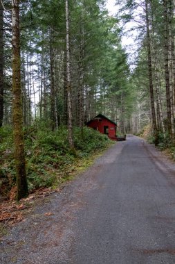 Küçük bir kırmızı kablo Vancouver Adası, British Columbia, Kanada 'daki Sooke Çukurları' ndaki Dörtnala Kaz Yolu 'nda yürüyen insanlar için acil durum sığınağı sağladı.