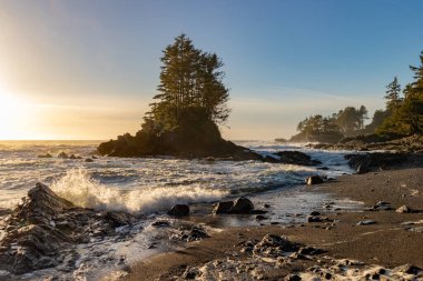 pine trees on a rock at Botanical Beach as the sun sets and waves crash on the shore in British Columbia, Canada