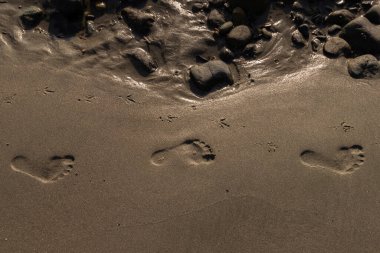 Footprints and bird track in the sand at the Jordan River Beach on Vancouver Island, Canada