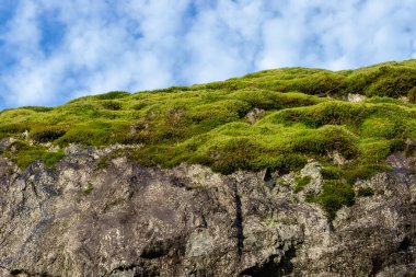 Parlak yeşil yosun mavi gökyüzü ve arka plandaki bulutlarla kayaları kaplar.
