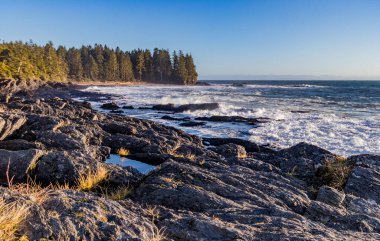 View from Botancial Beach at Juan De Fuca Provincial Park on Vancouver Island, Canada