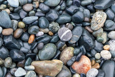 Sahilde renkli ıslak kayaları kapatın.