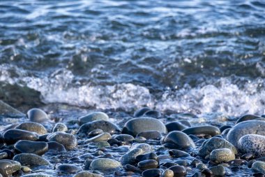 Metchosin 'deki Devonian Bölgesel Parkı kıyısında kaldırım taşları
