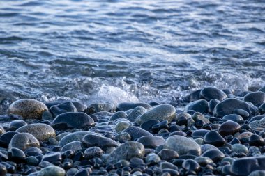 Metchosin 'deki Devonian Bölgesel Parkı kıyısında kaldırım taşları