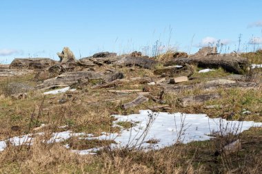 Albert Head Lagoon Bölgesel Parkı, British Columbia, Kanada 'da kumsalda sürüklenen odun, ot ve kar