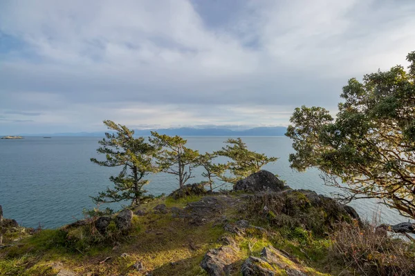 Arbres Sur Côte Accidentée Mer Des Salish Parc Régional East — Photo