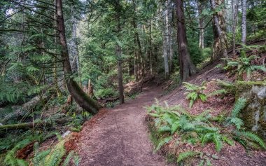 Victoria, BC 'deki Royal Roads Üniversitesi' nde patika.