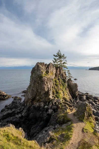 Costa Rocosa Del Mar Salado East Sooke Regional Park Sooke — Foto de Stock